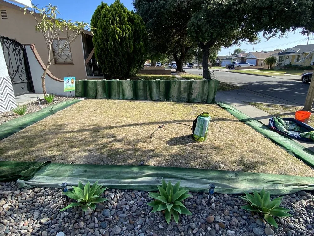 Expert landscape installation in Fullerton, CA by Elite Green Lawn Painting