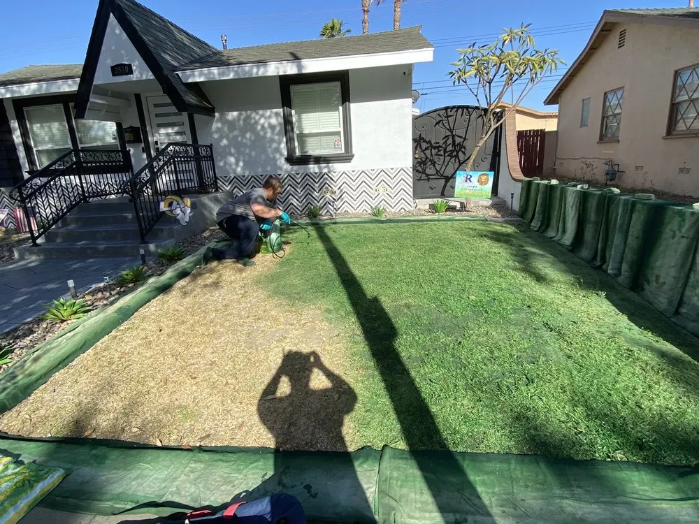 Affordable garden landscaping for homes in Fullerton, CA by Elite Green Lawn Painting