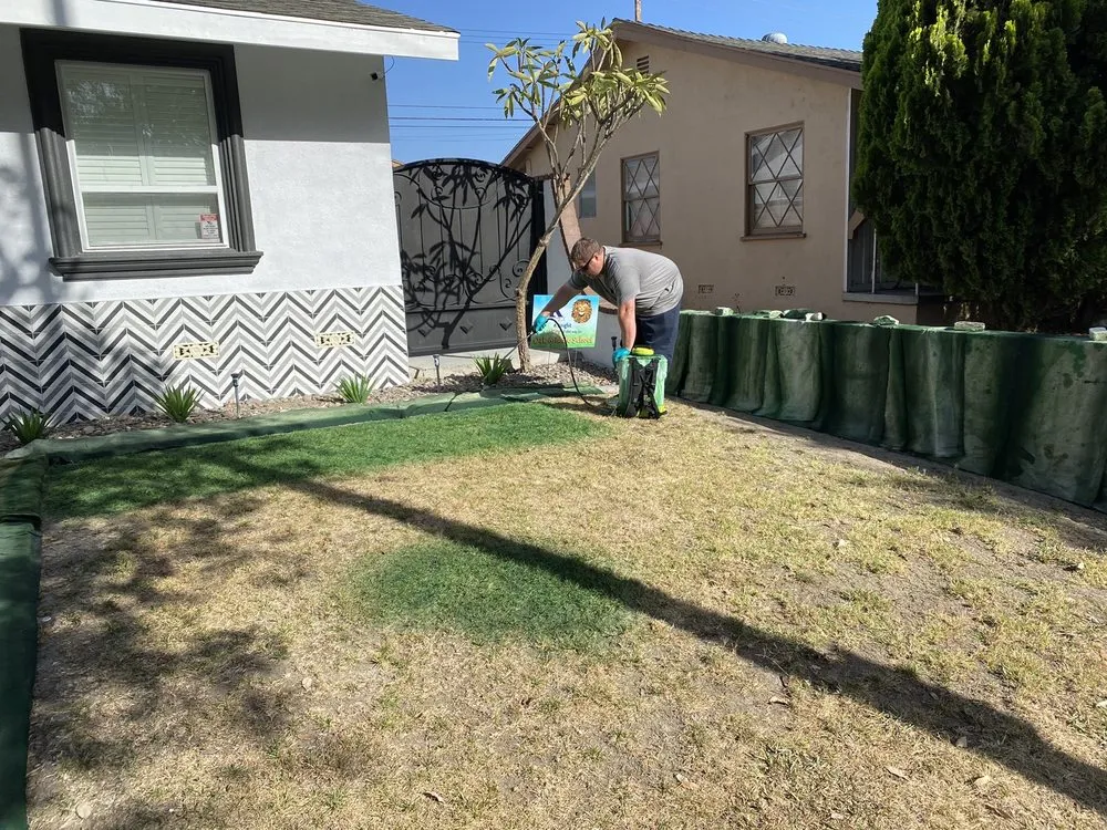 Local lawn care service for year-round maintenance across Fullerton, CA - Elite Green Lawn Painting
