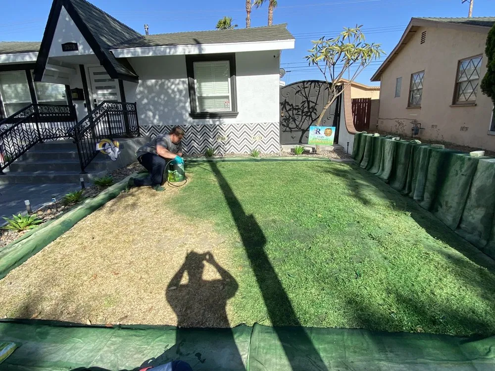 Expert residential landscaping near you across Fullerton, CA - Elite Green Lawn Painting