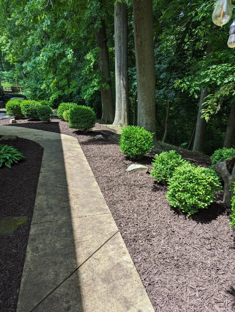Professional landscape installation for outdoor upgrades across Toledo, OH - Elite Greenery Lawn Care