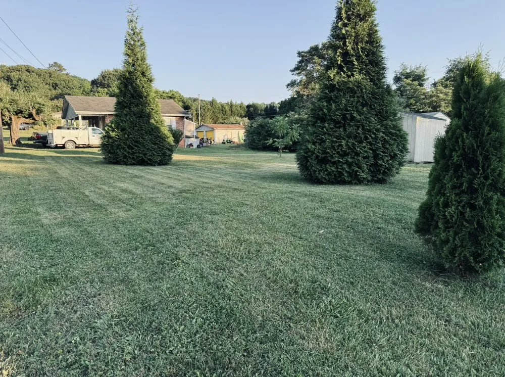 Expert landscaping services near you across Chattanooga, TN - Elite Greens