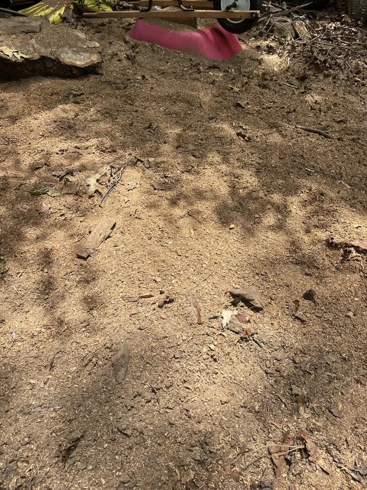 Top-rated lawn care service in Birmingham, AL - Elite Grinding