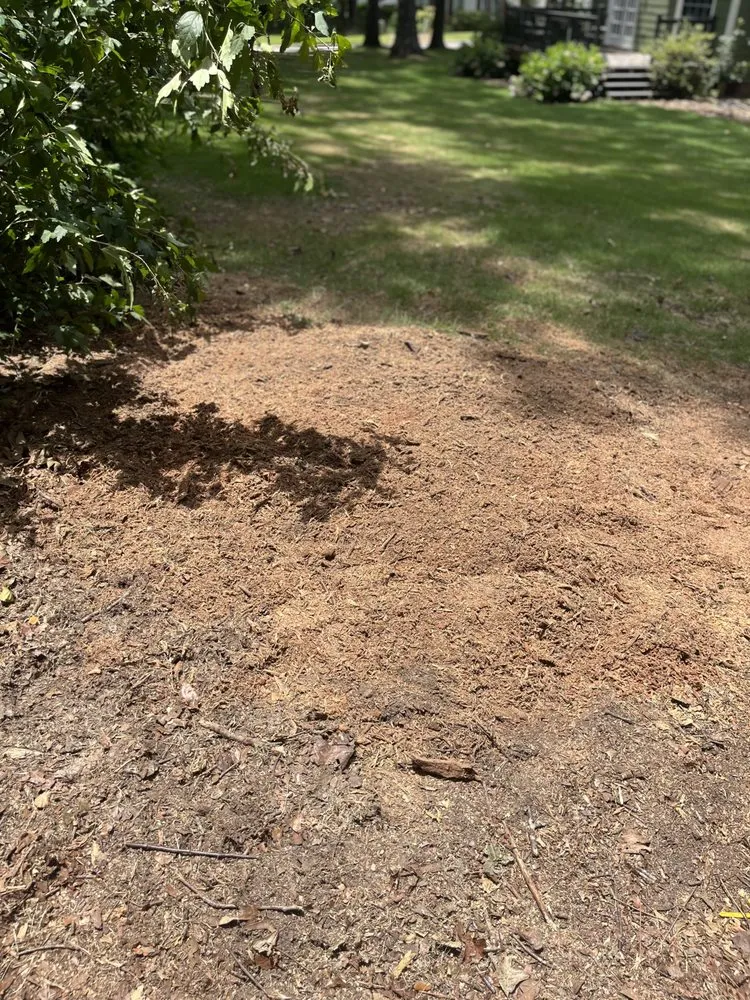 Local landscape installation for outdoor upgrades across Birmingham, AL - Elite Grinding