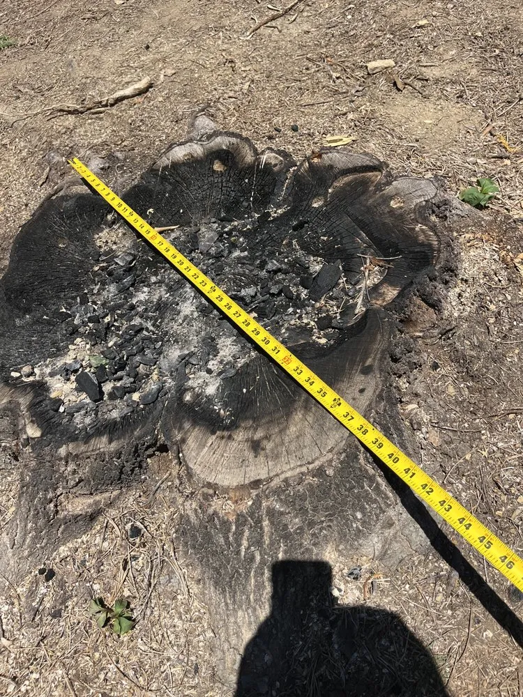 Affordable landscape installation for residential properties across Birmingham, AL - Elite Grinding