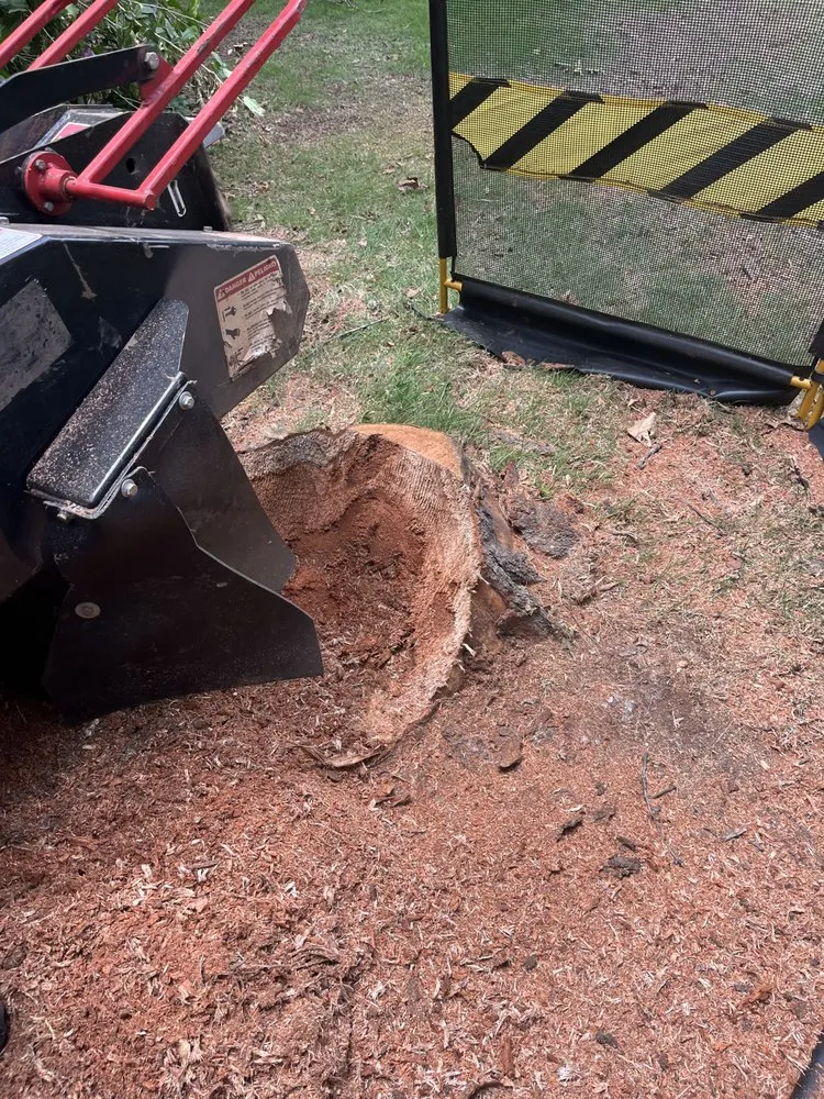 Local landscaping services in Birmingham, AL by Elite Grinding