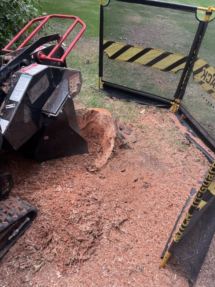 Professional landscape design in Birmingham, AL - Elite Grinding