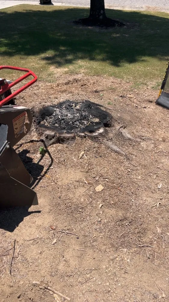 Reliable garden landscaping experts serving Birmingham, AL - Elite Grinding