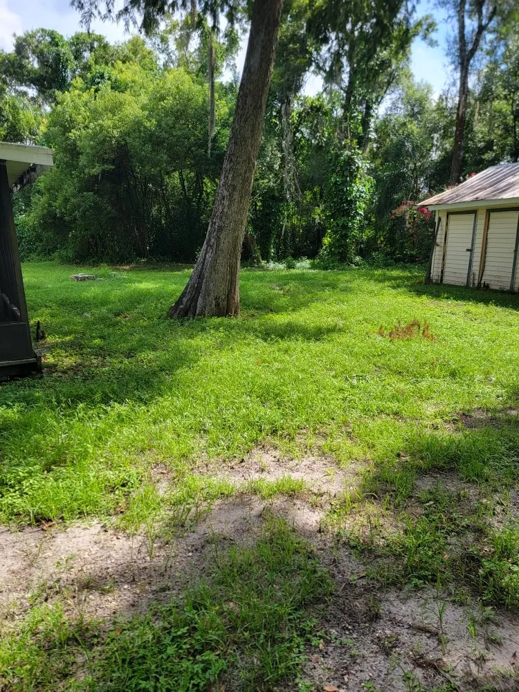 Top-rated outdoor landscaping with custom design in Plant City, FL by Elite Ground VI