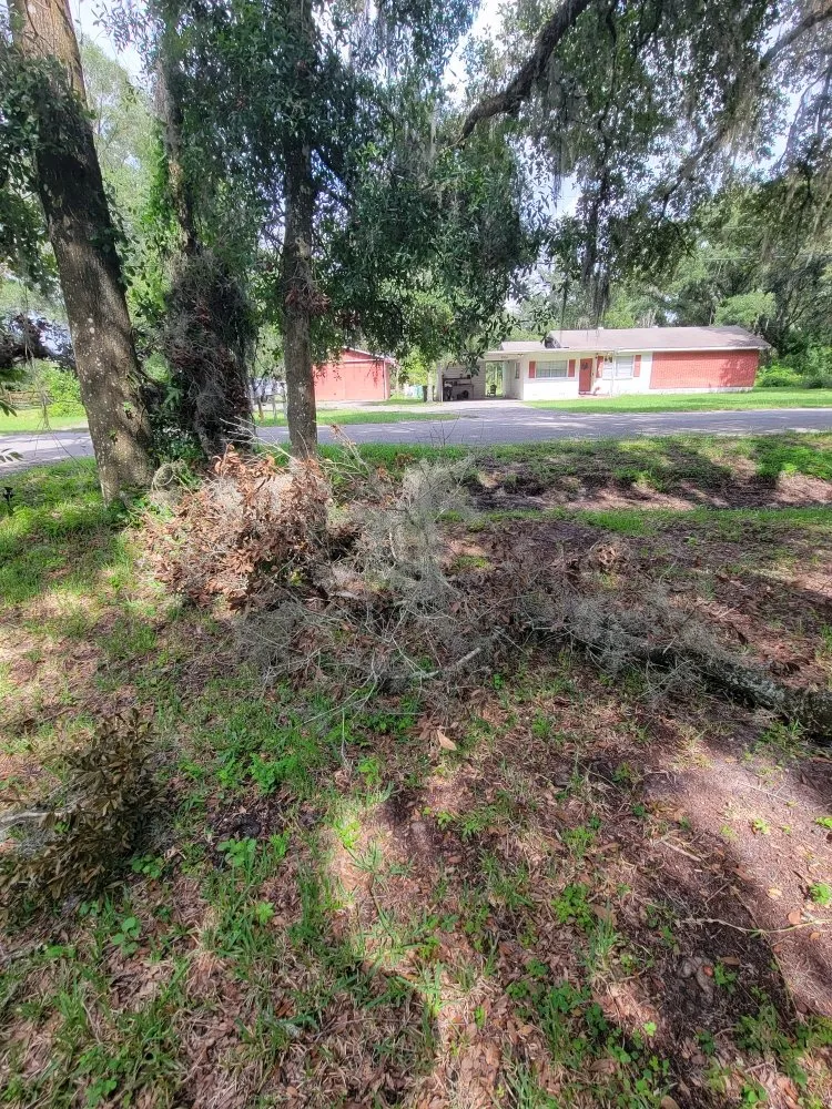 Affordable yard cleanup service in Plant City, FL - Elite Ground VI