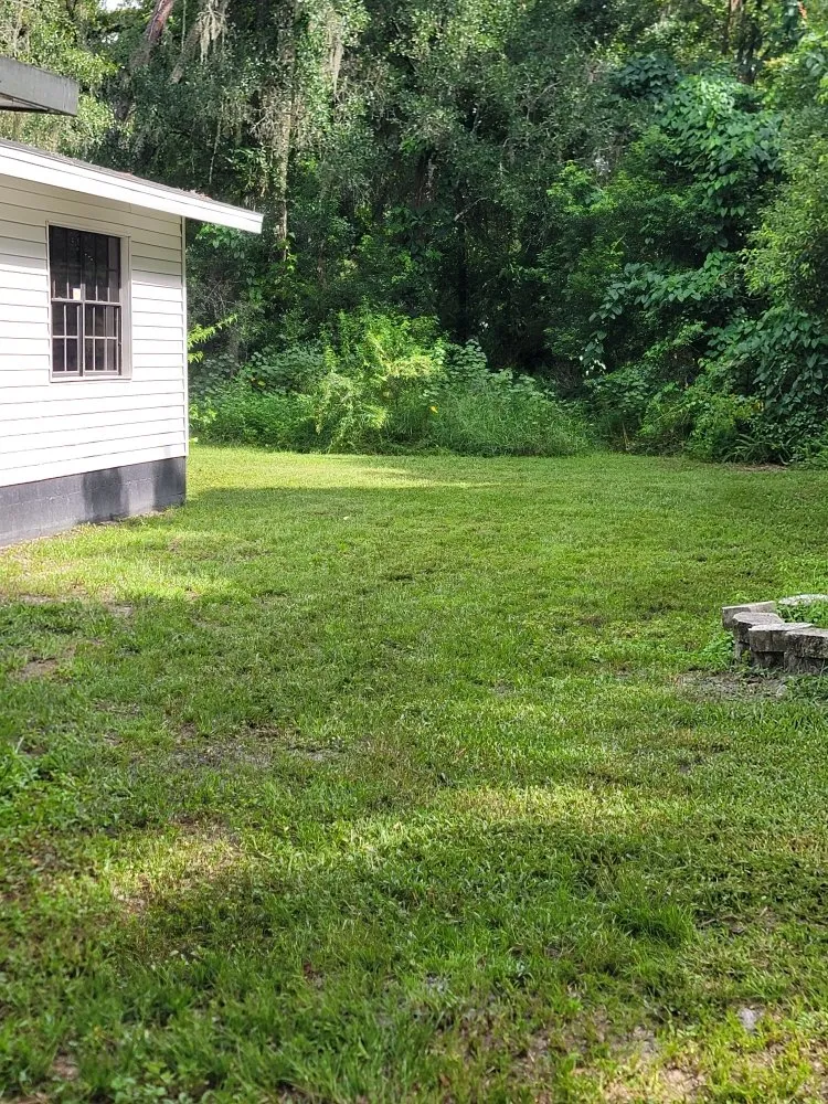 Expert yard maintenance for outdoor upgrades across Plant City, FL - Elite Ground VI