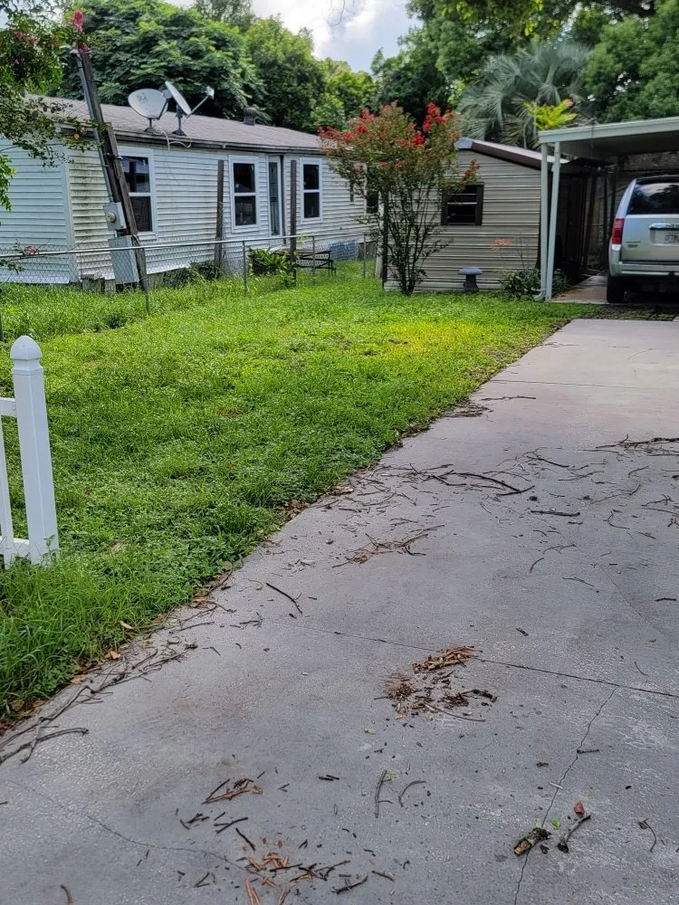 Custom landscape installation experts serving Plant City, FL - Elite Ground VI