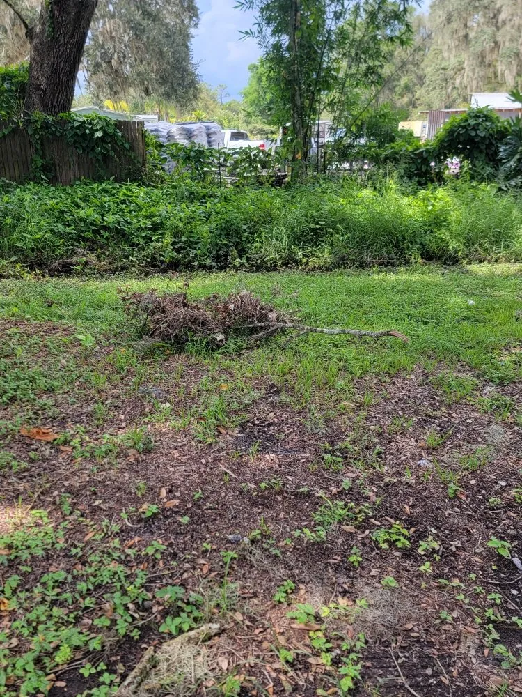 Affordable lawn mowing service experts serving Plant City, FL - Elite Ground VI