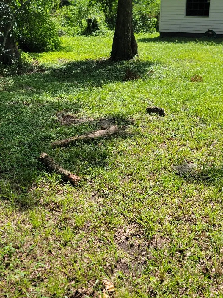 Professional landscape installation in Plant City, FL by Elite Ground VI