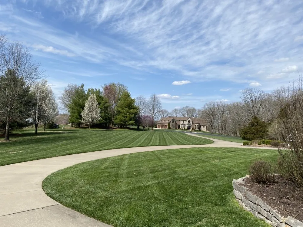 Local yard cleanup service in Bolivar, MO - Elite Ground Works