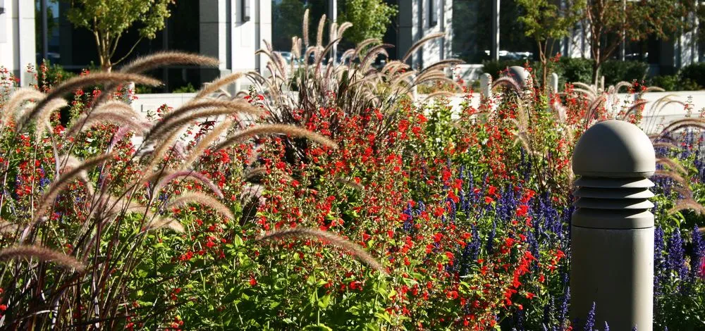 Top-rated outdoor landscaping in Pleasant Grove, UT - Elite Grounds