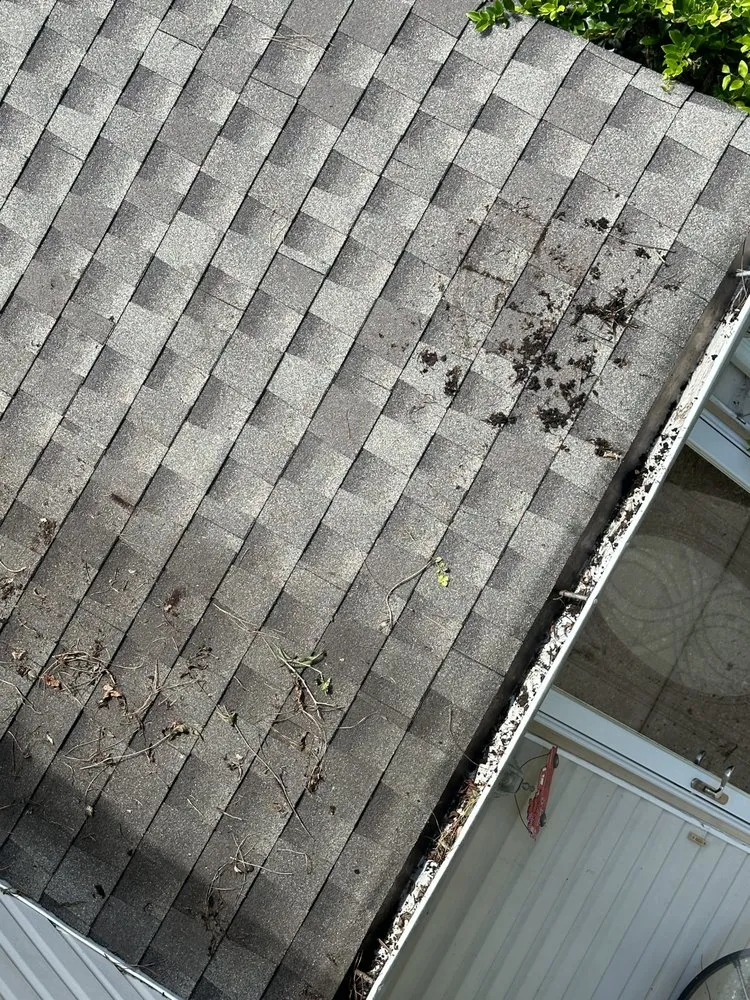 Local landscape installation in Carrollton, GA - Elite Gutters