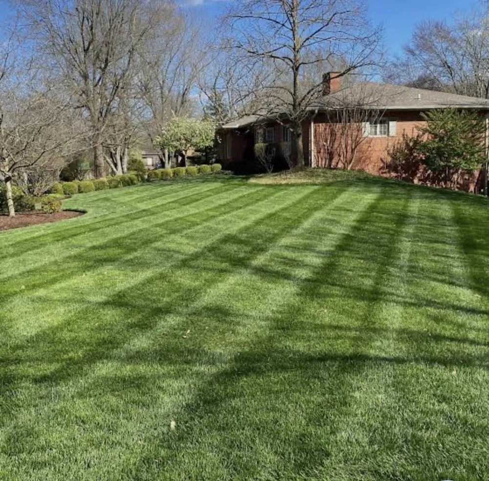 Local landscape installation with custom design in Carrollton, GA by Elite Gutters