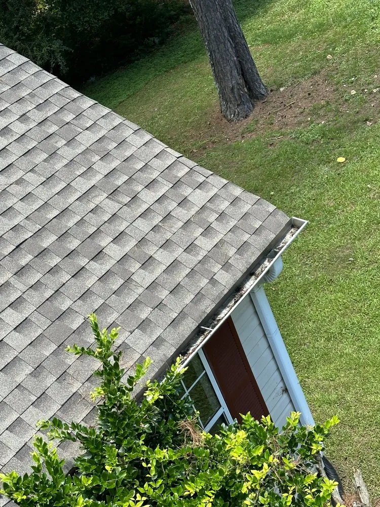 Trusted yard maintenance for year-round maintenance across Carrollton, GA - Elite Gutters