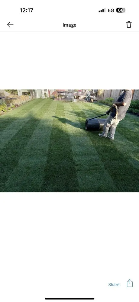 Affordable yard maintenance experts serving Seattle, WA - Elite Hardscape Solutions
