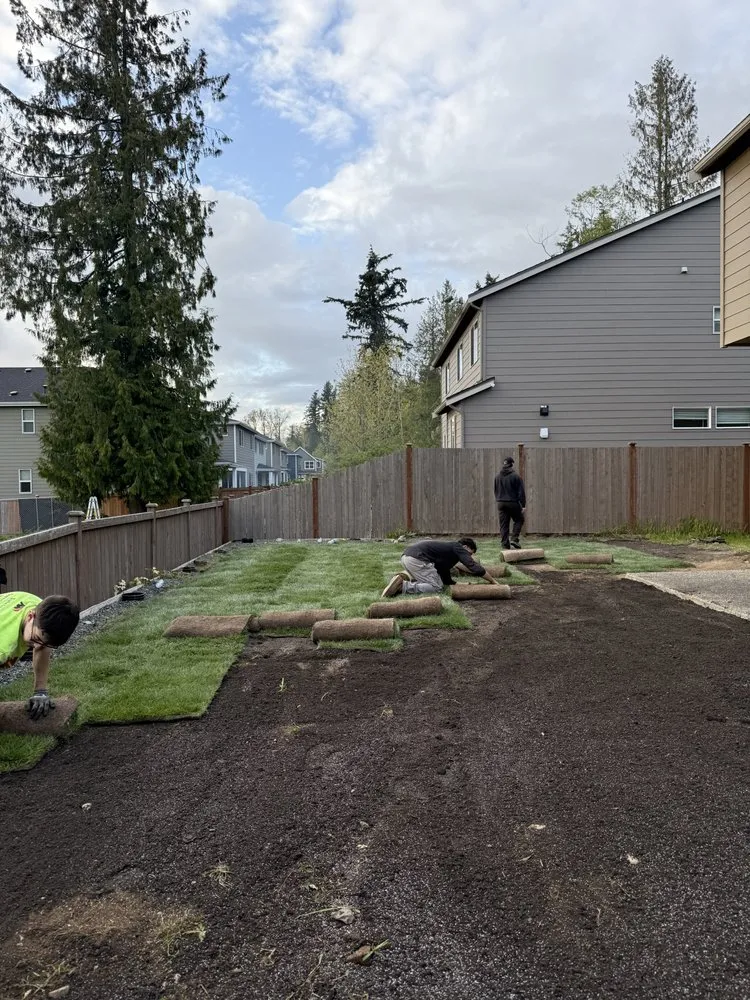 Reliable yard cleanup service experts serving Seattle, WA - Elite Hardscape Solutions