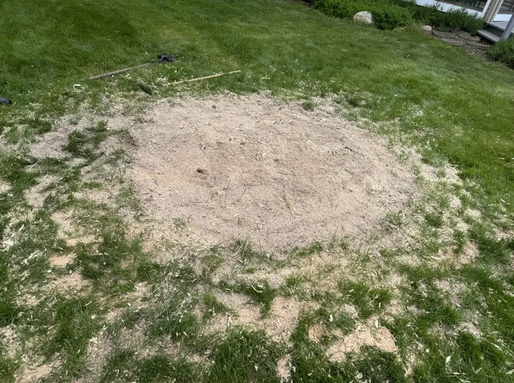 Reliable landscaping services with custom design in Frostburg, MD by Elite Home Care