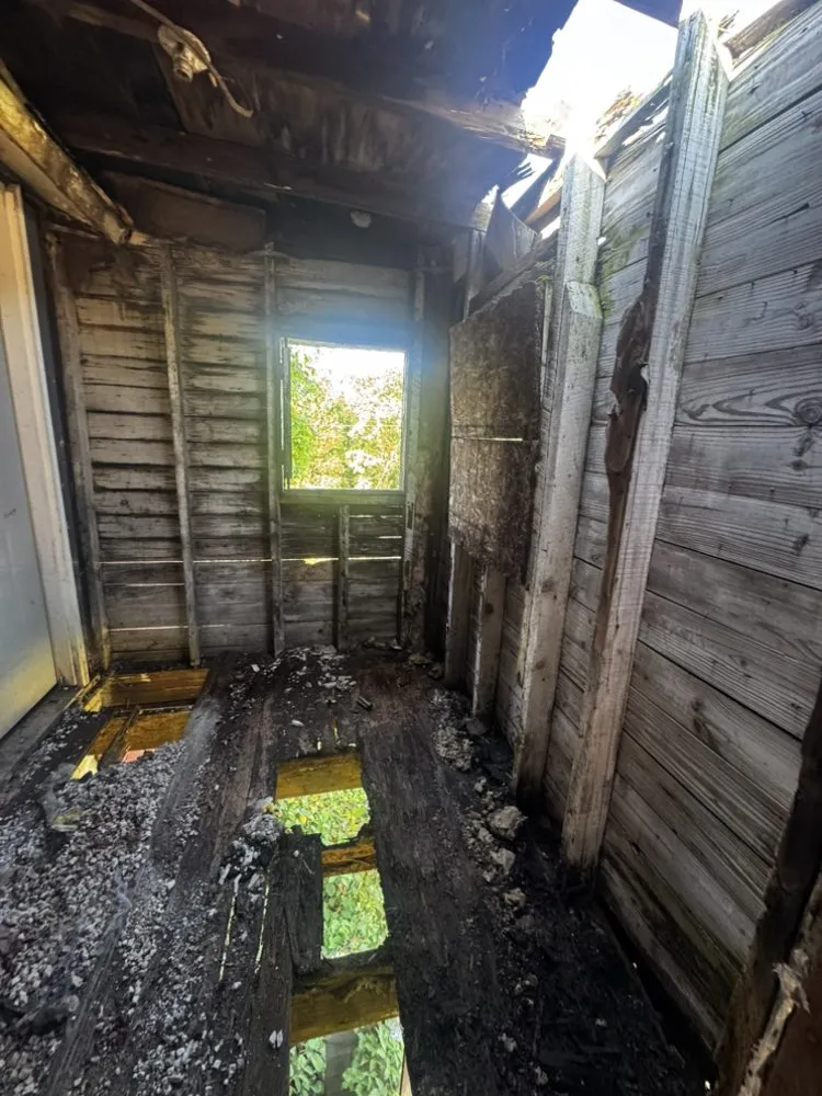 Custom yard cleanup service in Frostburg, MD - Elite Home Care