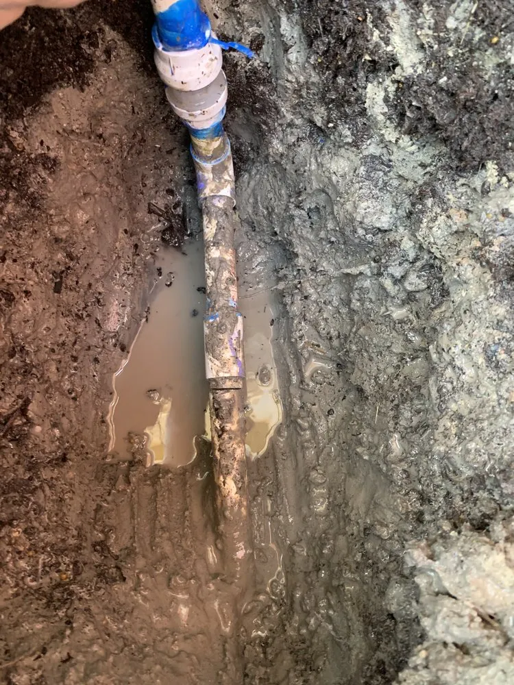 Trusted lawn care service in Corpus Christi, TX - Elite Home Contracting