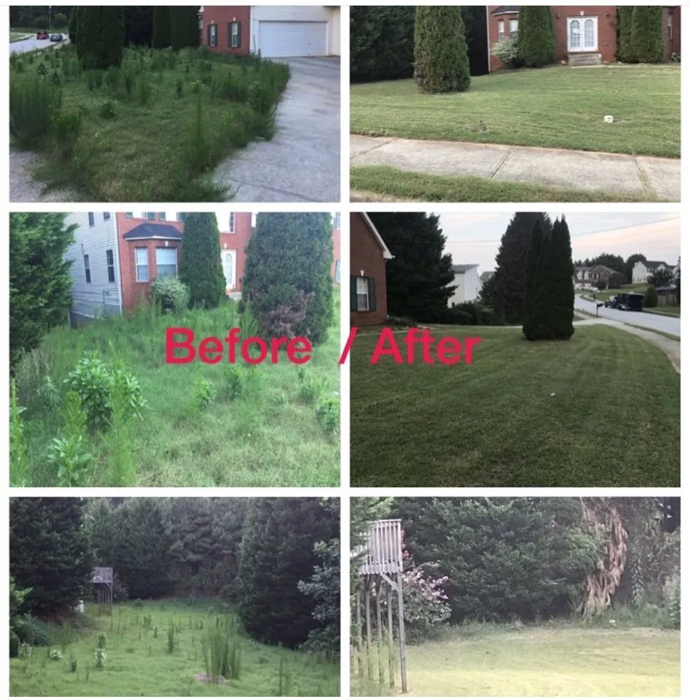 Trusted lawn care service for year-round maintenance across Decatur, GA - Elite Home Improvement & Design
