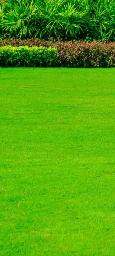 Affordable landscape design experts serving Ball, LA - Elite Home Repairs n Restoration