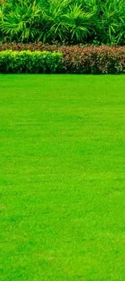 Elite Home Repairs n Restoration