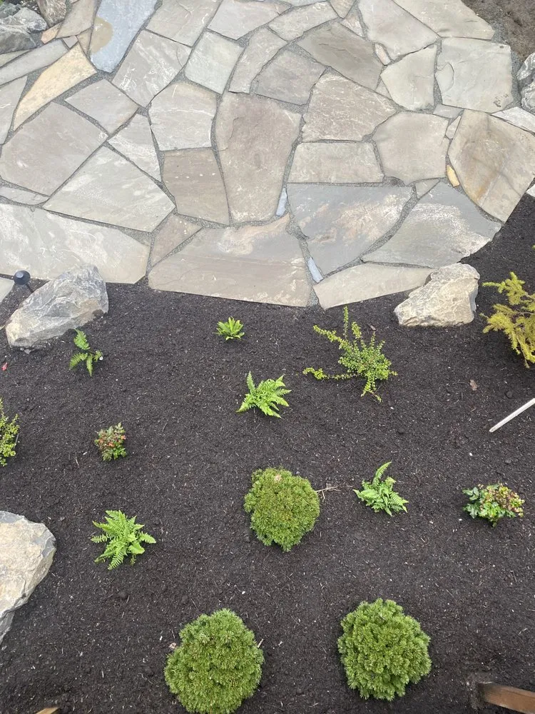 Local lawn care service for homes across Tukwila, WA - Elite Horticulture Services