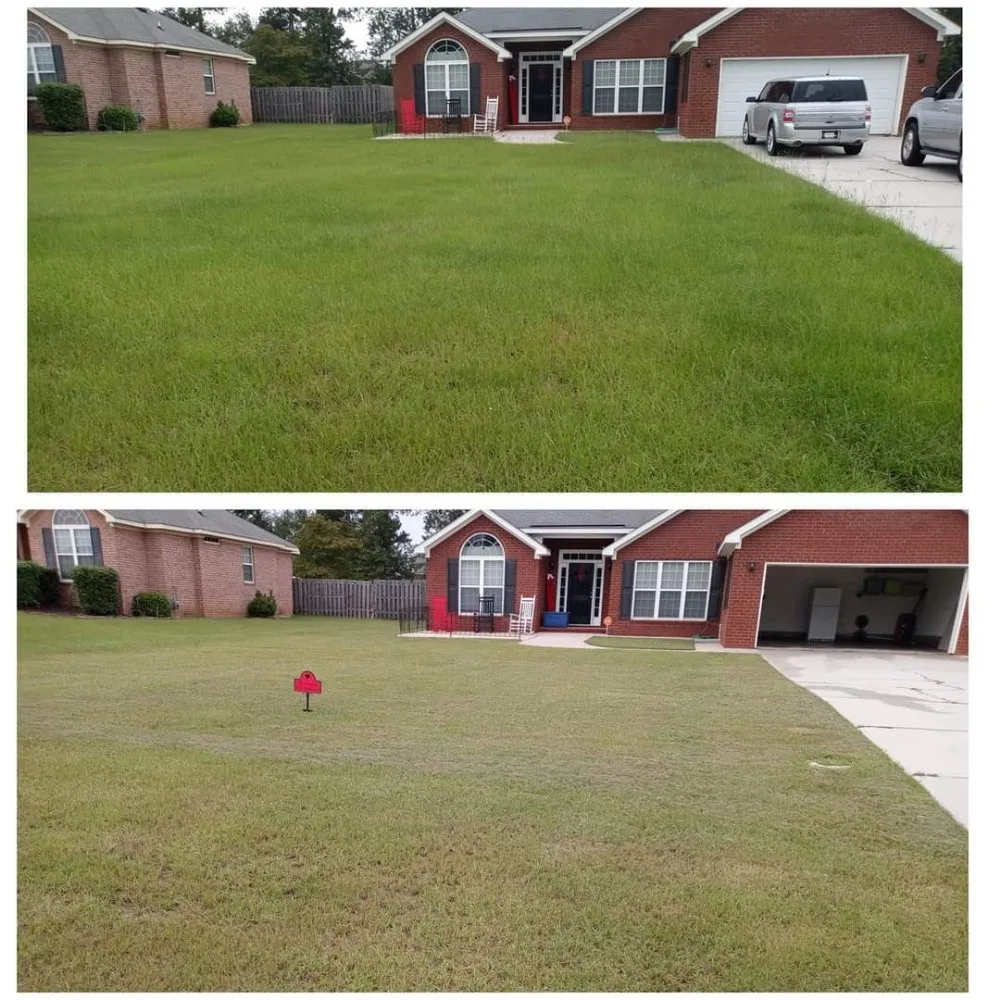 Professional outdoor landscaping in Hephzibah, GA - Elite Housewashing & Property Maintenance