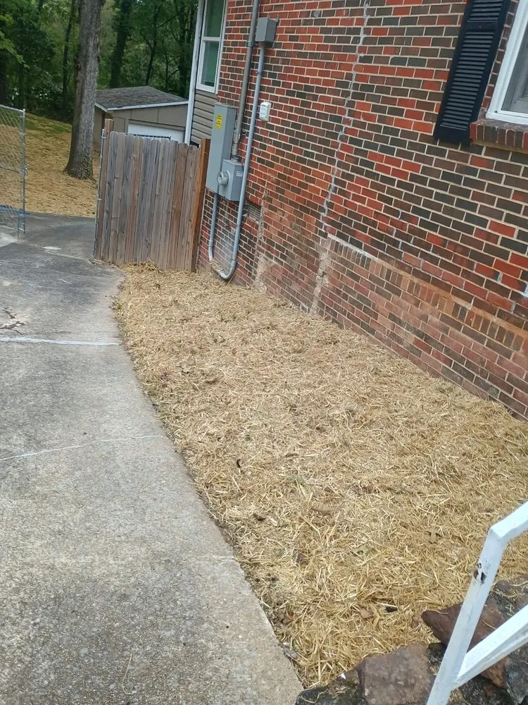 Top-rated lawn mowing service experts serving Pelham, AL - Elite Investment Property