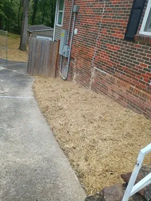 Elite Investment Property