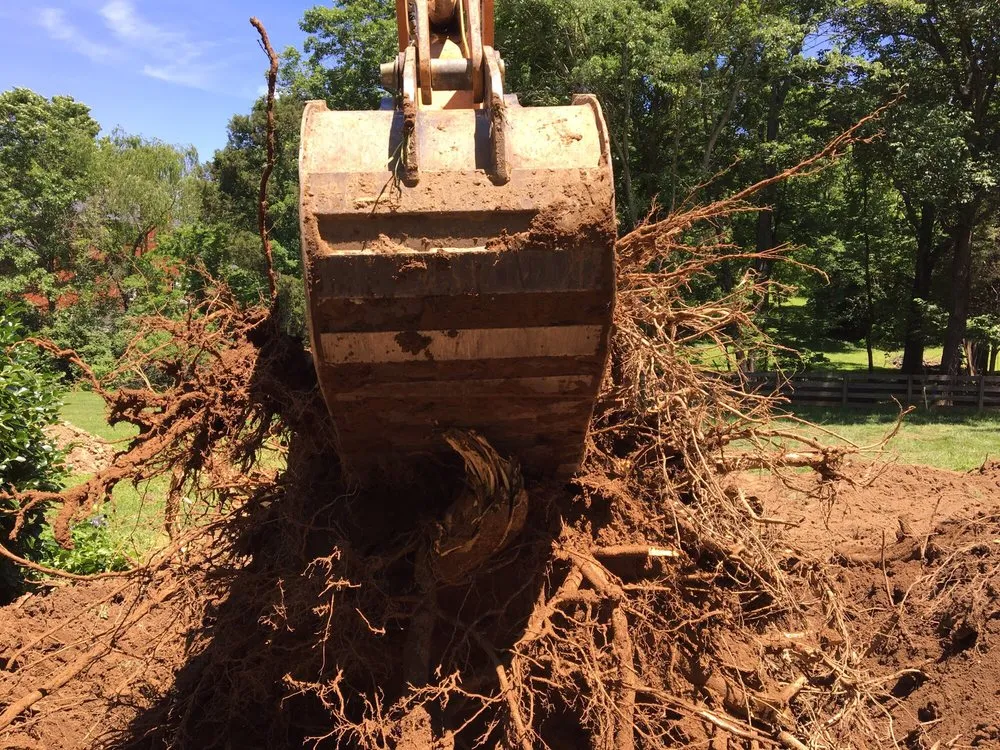 Reliable residential landscaping for beautiful yards in Spring Hill, TN by Elite Irrigation & Landscaping