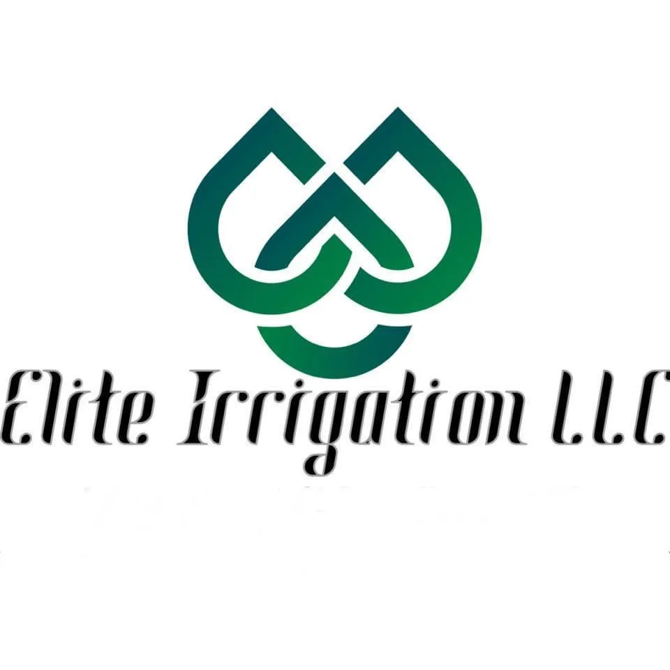 Custom yard cleanup service experts serving St Petersburg, FL - Elite Irrigation