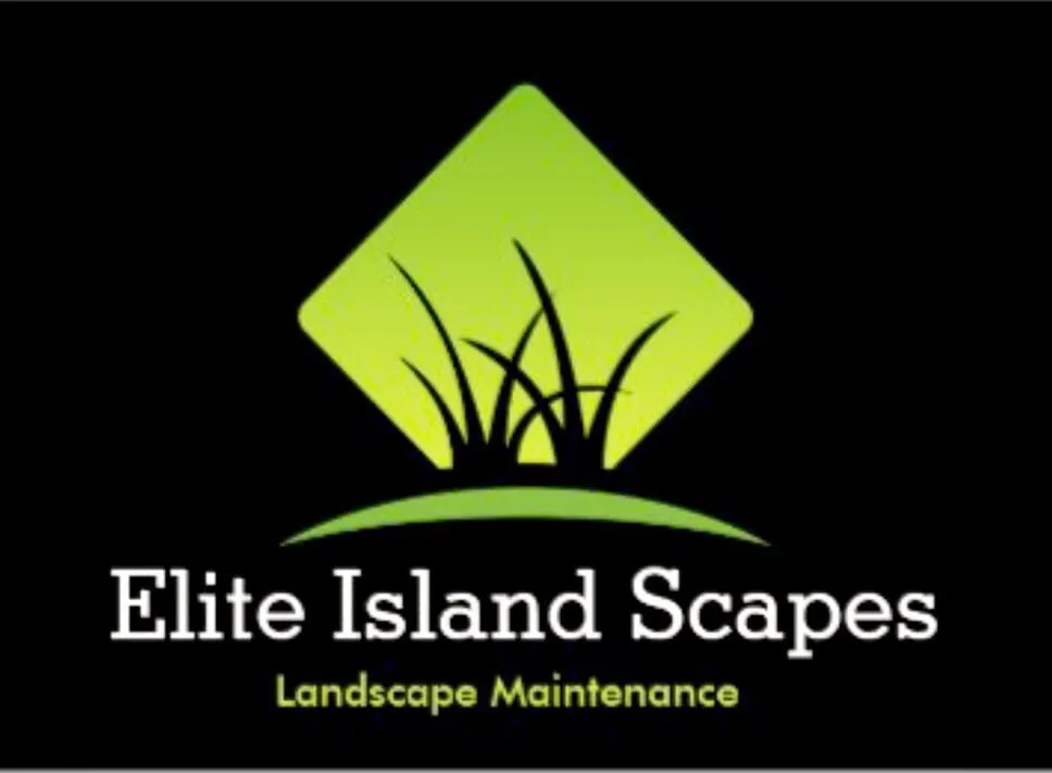 Professional landscape installation experts serving Honolulu, HI - Elite Island Scapes
