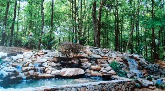 Top-rated yard cleanup service experts serving Honolulu, HI - Elite Island Scapes