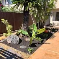 Trusted lawn mowing service in Honolulu, HI - Elite Island Scapes