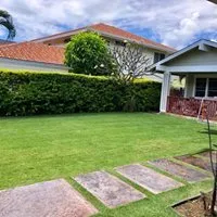 Local lawn mowing service for beautiful yards in Honolulu, HI by Elite Island Scapes