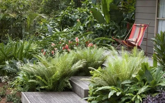 Custom lawn care service in Honolulu, HI - Elite Island Scapes