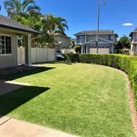 Expert residential landscaping experts serving Honolulu, HI - Elite Island Scapes