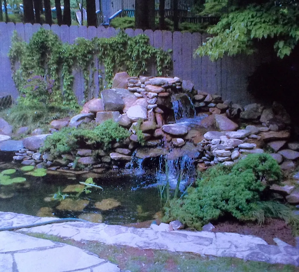 Affordable yard cleanup service in Honolulu, HI - Elite Island Scapes