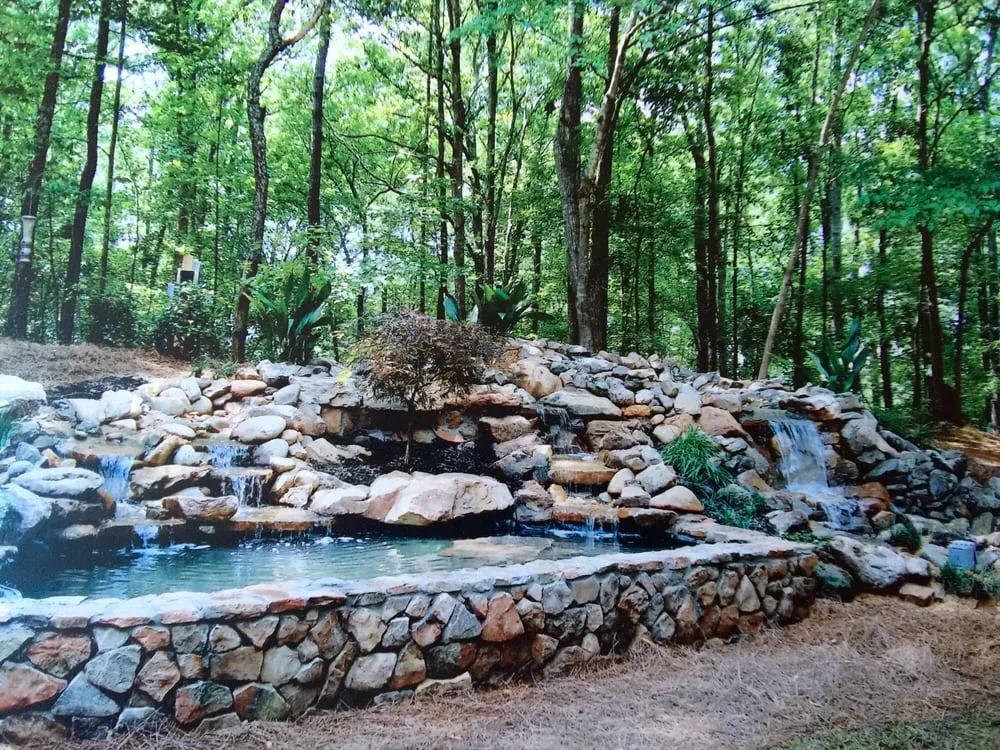 Local landscape design for year-round maintenance in Honolulu, HI by Elite Island Scapes