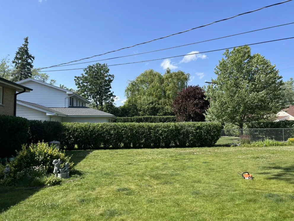 Trusted yard cleanup service in Barrington, IL - Elite Jc Services