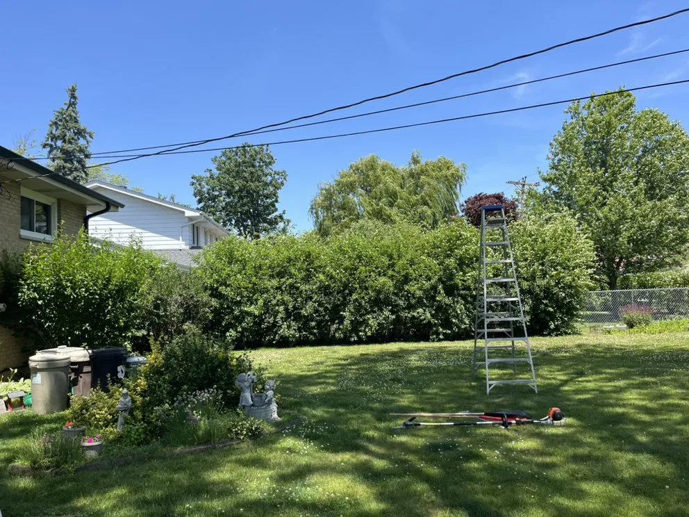 Custom garden landscaping for beautiful yards in Barrington, IL by Elite Jc Services