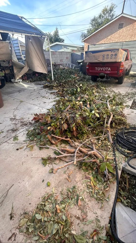 Professional lawn care service for homes in El Monte, CA by Elite Junk Removal