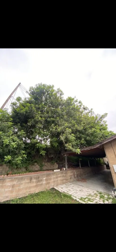 Reliable lawn care service experts serving El Monte, CA - Elite Junk Removal