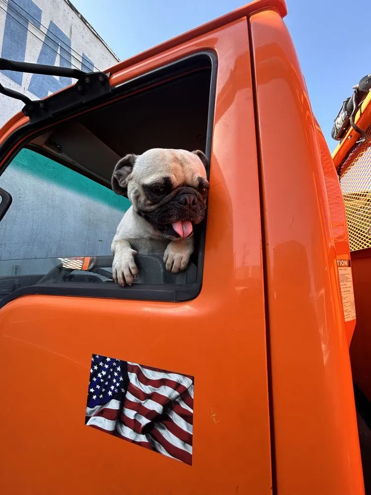 Top-rated outdoor landscaping in El Monte, CA by Elite Junk Removal